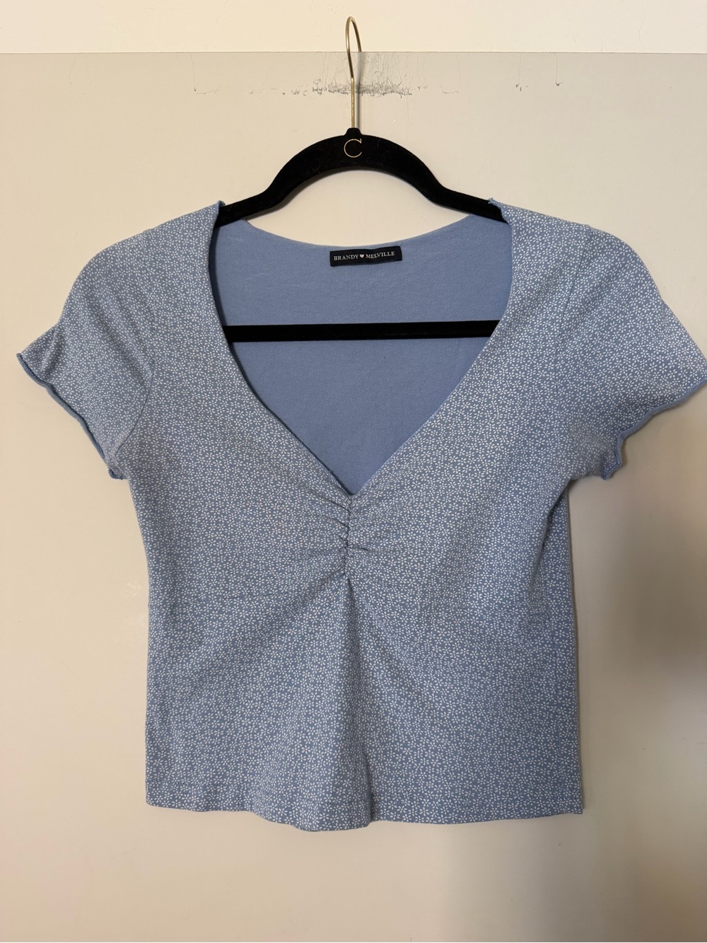 Brandy Melville Light Blue Floral V-Neck Coquette, Cottage Core Crop Top